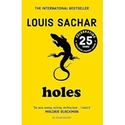 Basic Books Holes