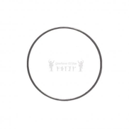 Gawharet El Fan Transparent Plastic Drum Head for Tabla Riq Tambourine - 8.75 Inch 22 Cm